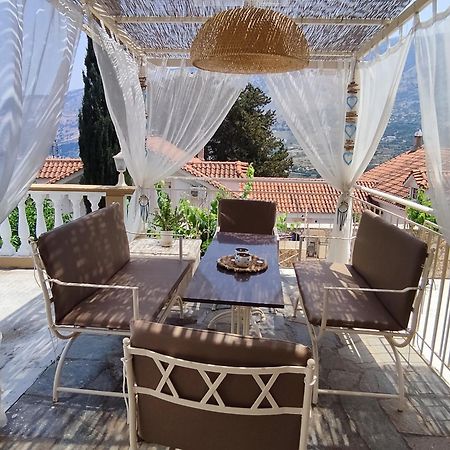 Villa Irene Zola Экстерьер фото